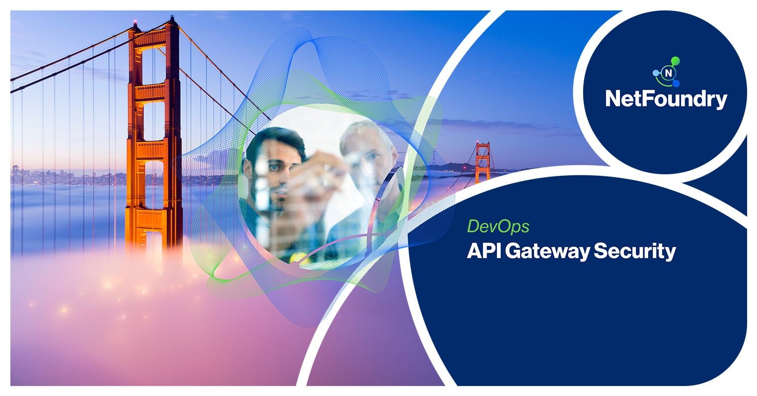 NetFoundry | API Gateway Security