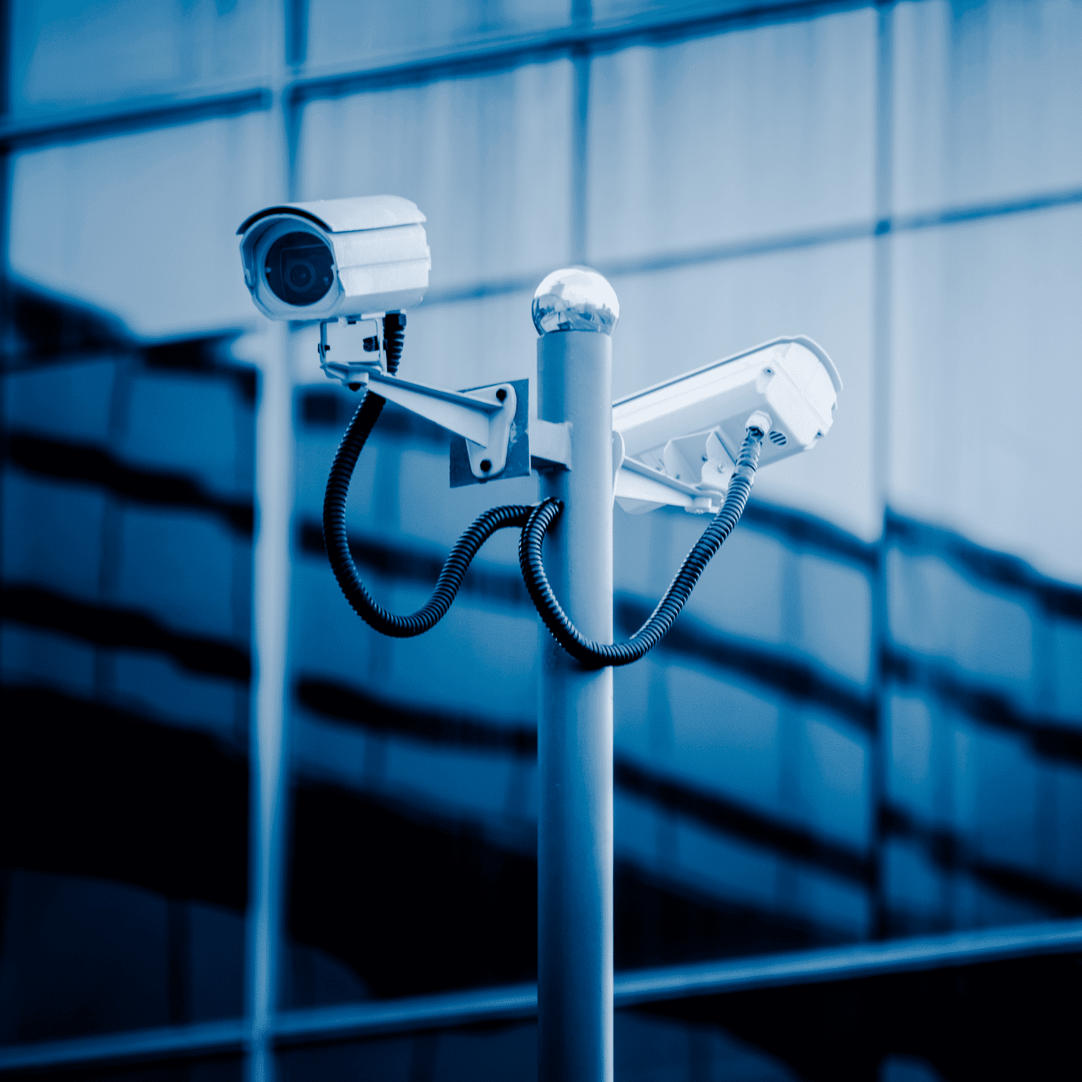 NetFoundry | LiveView Technologies