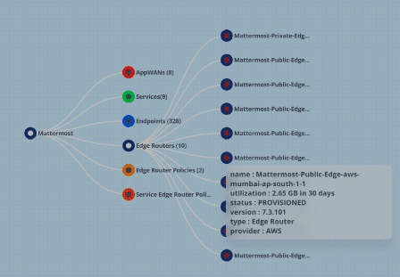 NetFoundry | March 2024 Platform Update