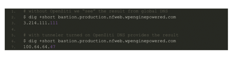 NetFoundry | Bastion