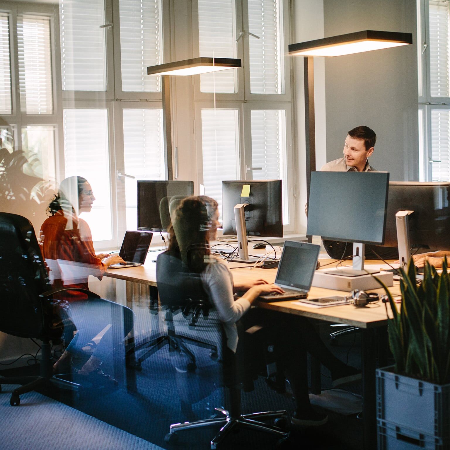 NetFoundry | Developers