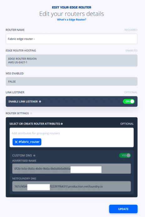 NetFoundry | NetFoundry | Custom Domain Name Support for Public Routers (2)