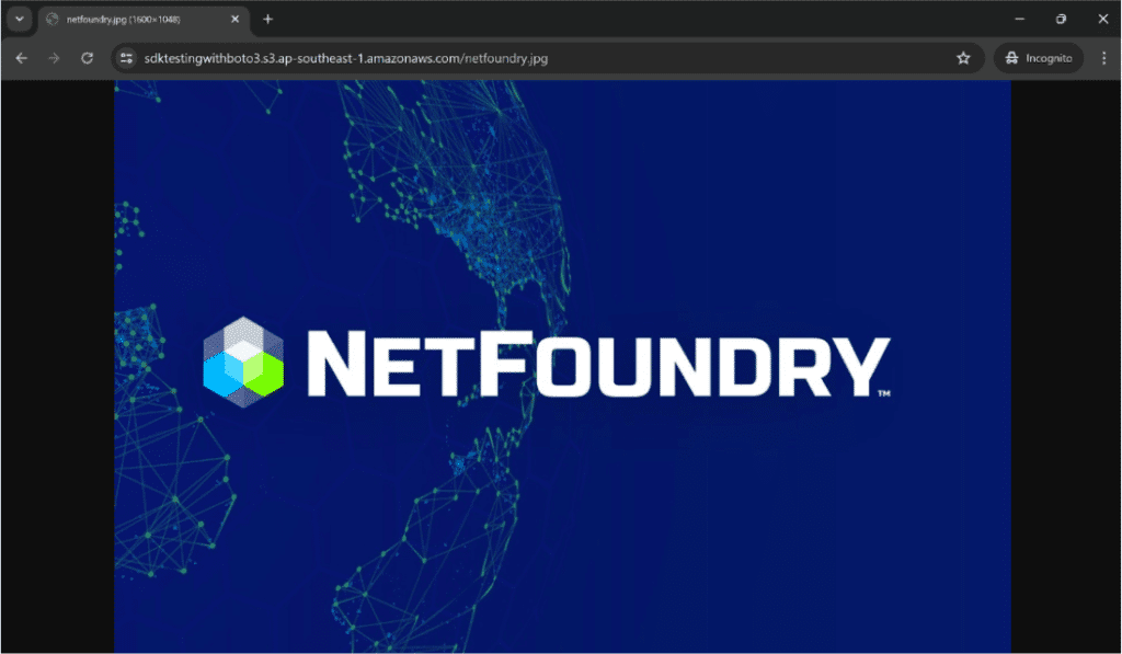 NetFoundry | Access S3 Object