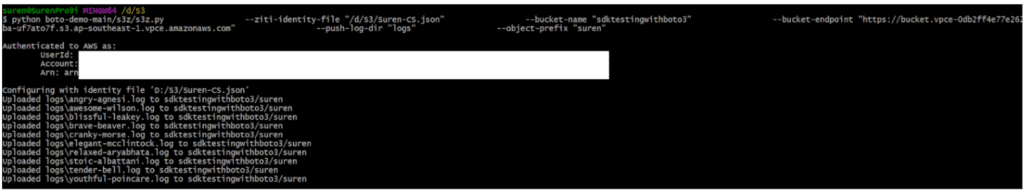 NetFoundry | Py Program Output