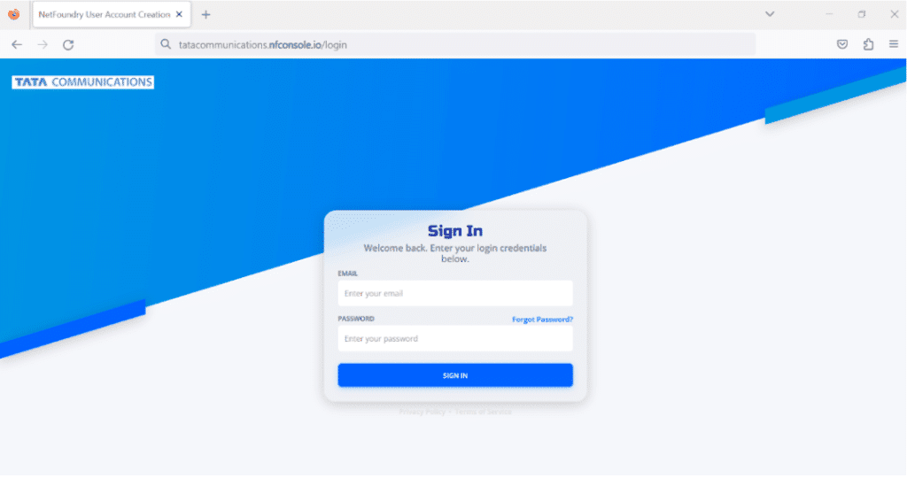 NetFoundry | Branding of Vanity URL