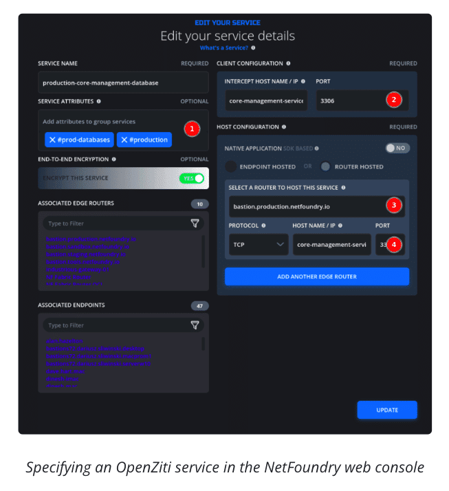 NetFoundry | OpenZiti Service
